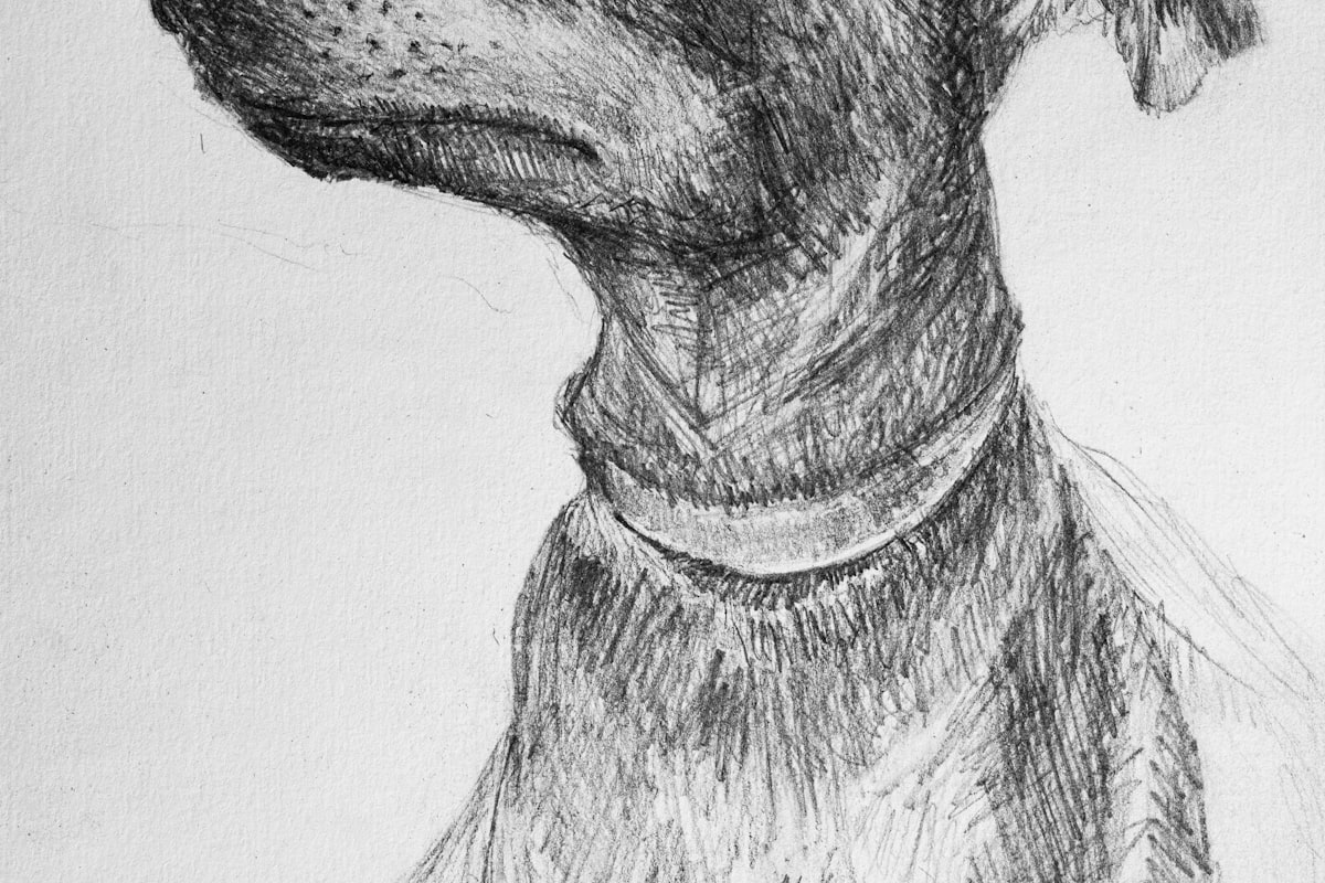 Dessin d'animaux en mouvement : appliquer le gesture au vivant